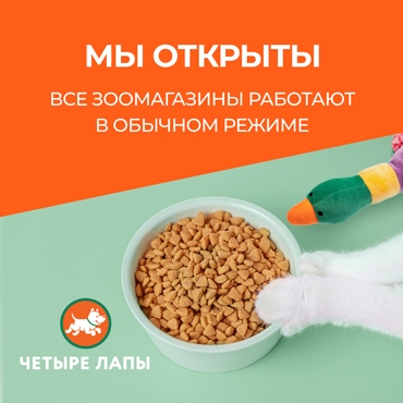 Зоомагазин «Четыре Лапы» работает в обычном режиме Зоомагазин «Четыре Лапы» работает в обычном режиме